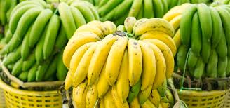 Ilustrasi artikel: beberapa jenis pisang di indonesia