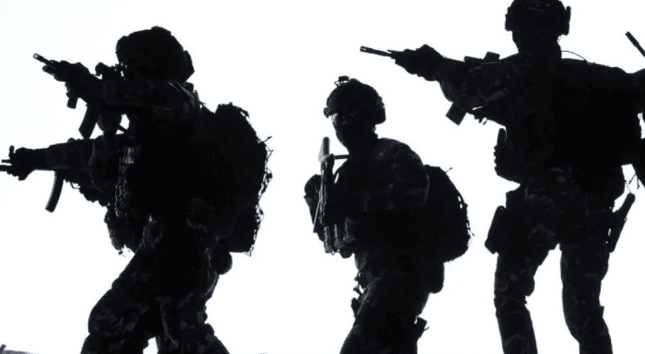 Ilustrasi artikel: Keberadaan Den Harin, Misteri Pasukan Senyap TNI Konon Lebih Mengerikan dari Kopassus