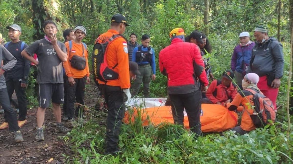 Ilustrasi artikel: Pendaki Bukit Mongkrang Ditemukan Tewas Usai 24 Hari Hilang