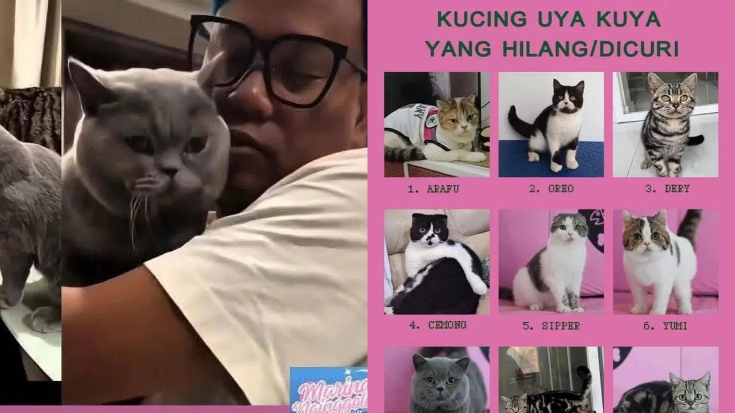 Ilustrasi artikel: Uya Kuya Tabah Hadapi Penjarahan, Utamakan Keluarga dan Kucing Kesayangan