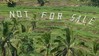 Ilustrasi artikel: 🌾 Bali Stop Izin Hotel & Restoran di Sawah